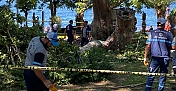 ÇINAR AĞACININ KIRILAN DALI ÜZERİNE DÜŞEN KİŞİ HAYATINI KAYBETTİ
