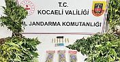 KOCAELİ'DE UYUŞTURUCU OPERASYONLARINDA 1 ŞÜPHELİ TUTUKLANDI