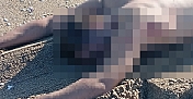 SAHİLDE ÇIPLAK ERKEK CESEDİ BULUNDU