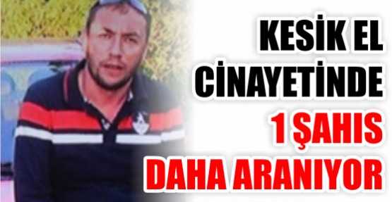 Vahşi cinayette 1 şahıs daha aranıyor