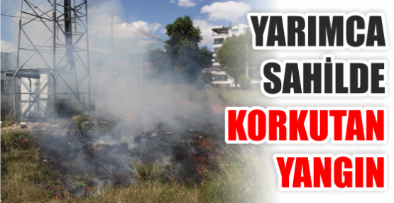 Yarımca sahilde korkutan yangın