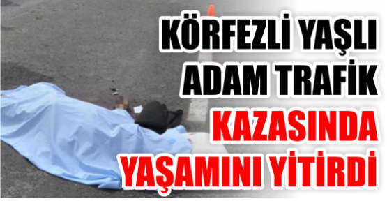 Yaşlı adam kazada yaşamını yitirdi