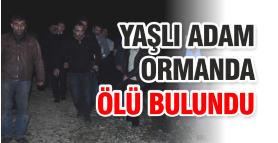  Yaşlı Adam Ormanda Ölü Bulundu