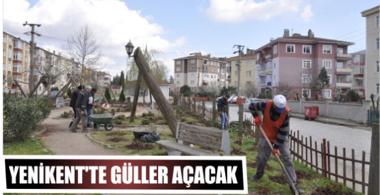 Yenikent’te güller açacak