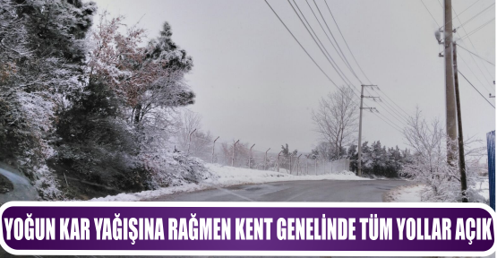 YOĞUN KAR YAĞIŞINA RAĞMEN KENT GENELİNDE TÜM YOLLAR AÇIK