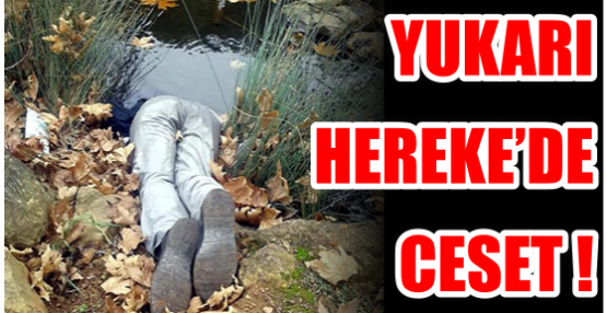 Yukarı Hereke’de Ceset