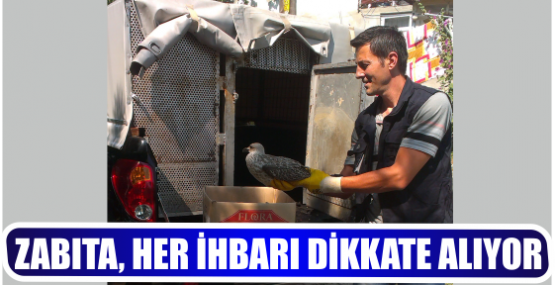 ZABITA, HER İHBARI DİKKATE ALIYOR