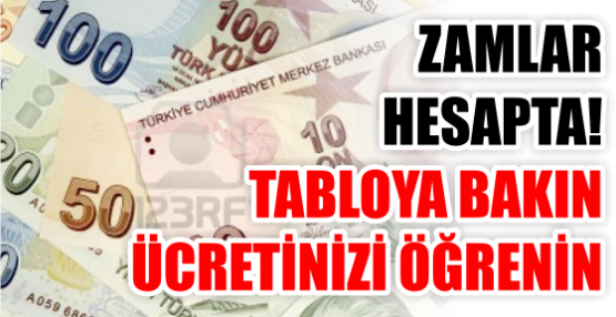 ZAMLAR HESAPTA! TABLOYA BAKIN ÜCRETİNİZİ ÖĞRENİN