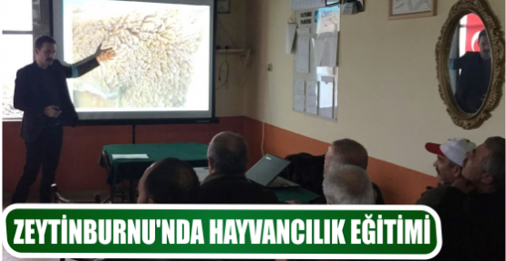 ZEYTİNBURNU’NDA HAYVANCILIK EĞİTİMİ